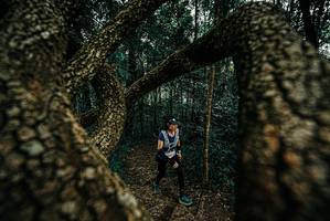 BIB: 
                            <button type="button" onclick="openModal(25672475)" class="btn btn-primary btn-sm float-right btn-popup" data-toggle="modal" data-target=".modal-high-quality">
                        <i class="fas fa-shopping-cart"></i> Add to Cart
                    </button>
                                            <button type="button" onclick="isThisMe(25672475, true)" class="btn btn-success btn-sm float-right btn-popup btn-isme hidden" data-toggle="tooltip" data-placement="bottom" title="นี่คือรูปของคุณใช่ไหม คลิกที่นี่เพื่อเอาเข้าอัลบั้ม">
                        <i class="fas fa-plus"></i> Add to album
                    </button>
                    <button type="button" onclick="isThisMe(25672475, false)" class="btn btn-warning btn-sm float-right btn-popup btn-isnotme hidden">
                        <i class="fas fa-ban"></i> Remove from album
                    </button>